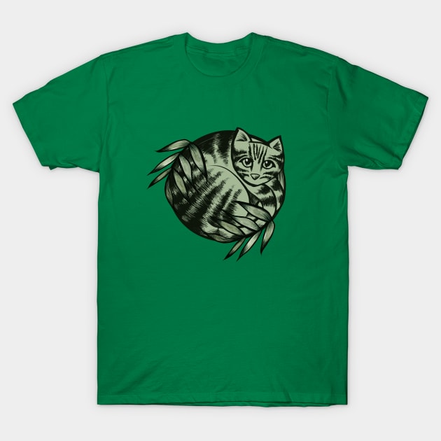Nature Kitty Cat